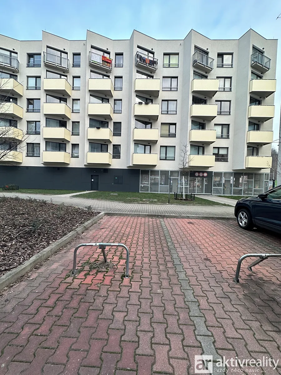 Pronájem specifického typu nemovitosti 13 m²
